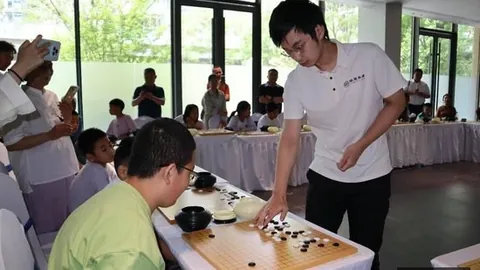 八年双城阅读盛宴：名师齐聚共鉴酸与甜终极指南